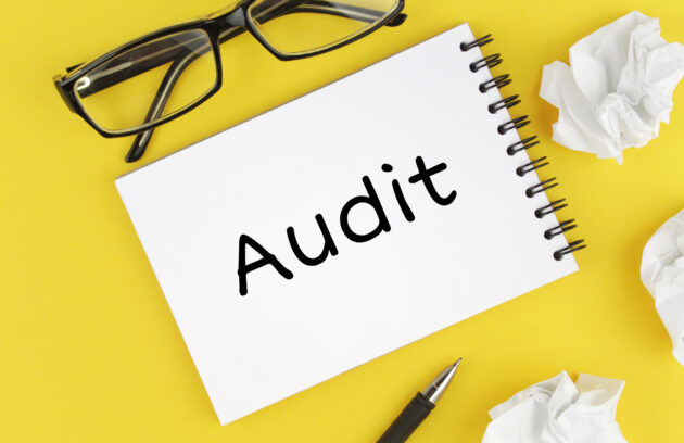 GPvP audit